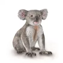 Mi koala