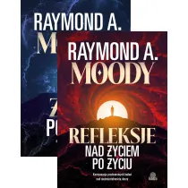 Pakiet: �ycie po �yciu, Refleksje nad �yciem po �yciu