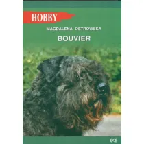 Bouvier