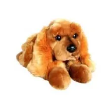 Pies Spaniel 62cm Dubi
