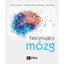 Fascynuj�cy m�zg