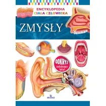 Encyklopedia ciaa czowieka Zmysy