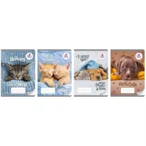 Beniamin Zeszyt A5/16K kolor 3-linie The sweet pets (20szt)