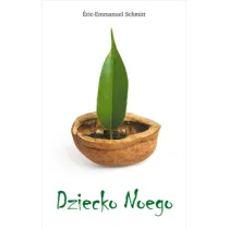 Dziecko Noego