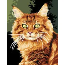 Norimpex Zestaw do haftu diamentowego Rudy kot 40 x 50 cm