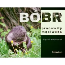 B�br pracowity m�ciwoda