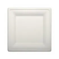Talerze trzcina cukrowa 15x15cm 6 szt.