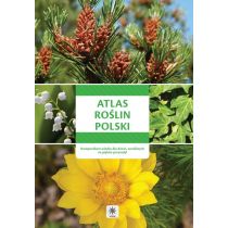 Atlas roślin Polski. Kompendium wiedzy dla dzieci wrażliwych na piękno przyrody