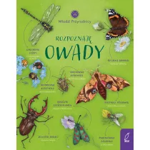 Rozpoznaj owady. Modzi Przyrodnicy