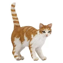 Kot rudy