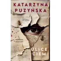 Ulice ciem
