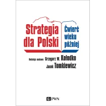Strategia dla Polski. �wier� wieku p�niej