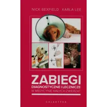 Zabiegi diagnostyczne i lecznicze w medycynie ma�ych zwierz�t