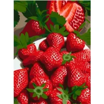 Qbee Malowanie po numerach - S�odka truskawka 30x40cm