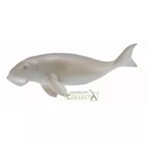 Diugo przybrzeny