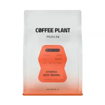 kawa ziarnista Etiopia Guji Megadu Anaerobic Filter 250 g
