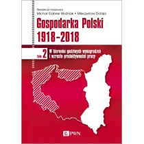 Gospodarka Polski 1918-2018. W kierunku godziwych wynagrodze� i wzrostu produktywno�ci pracy. Tom 2