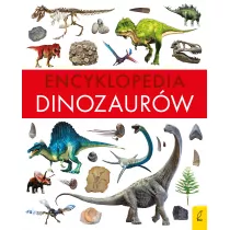 Encyklopedia dinozaurw