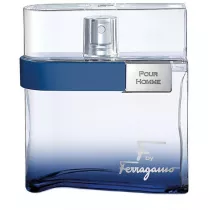 Salvatore Ferragamo F by Ferragamo Free Time woda toaletowa spray 100 ml