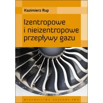 Izentropowe i nieizentropowe przep�ywy gazu