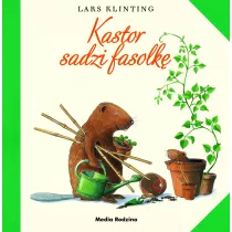 Kastor sadzi fasolk