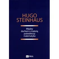 Mi�dzy duchem a materi� po�redniczy matematyka
