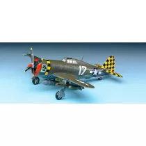 P-47 Thunderbolt Razorback Academy