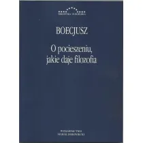 O pocieszeniu jakie daje filozofia