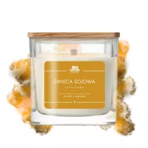 Big Nature wieca sojowa zap. insp. DIOR JADORE 220 g