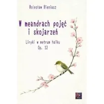 W meandrach poj�� i skojarze�