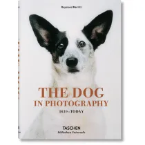 The Dog in Photography 1839-Today wer. angielska