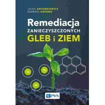 Remediacja zanieczyszczonych gleb i ziem