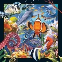 Worth Keeping Magnes 3D Ocean