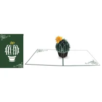 DaVinci Karnet + koperta POP-UP Kaktus 12x18cm