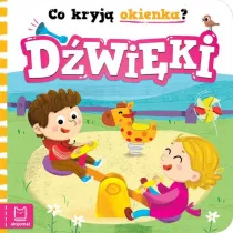 Co kryj okienka? Dwiki