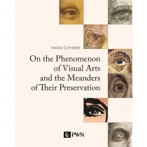 On the Phenomenon of Visual Arts and the Meanders of Their Preservation. The Philosophy and Elements