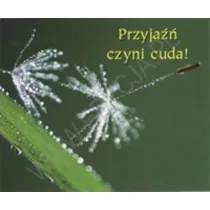 Przyja�� czyni cuda. Pere�ka 140