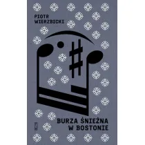 Burza �nie�na w Bostonie