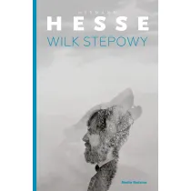 Wilk stepowy