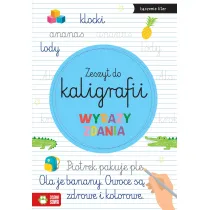 Zeszyt do kaligrafii. Wyrazy, zdania