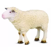 Owca