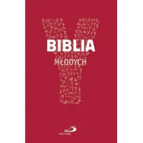 Biblia m�odych Youcat