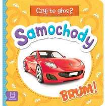 Czyj to gos? Samochody. Brum!