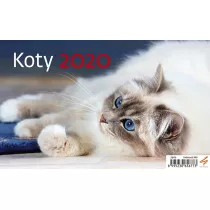 Kal 2020 Biurkowy Koty