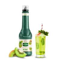 Teisseire Puree Kiwi 1 l