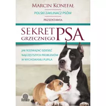 Sekret grzecznego psa