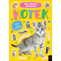 M�j cudowny przyjaciel. Kotek