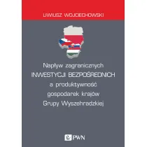 Nap�yw zagranicznych inwestycji bezpo�rednich a produktywno�� gospodarek kraj�w Grupy Wyszehradzkiej