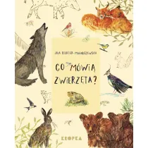 Co mwi zwierzta?