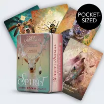 The Spirit Animal Pocket Oracle, karty w metalowym pudeku